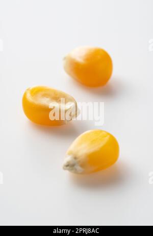 Dried corn kernels placed on white background. Stock Photo