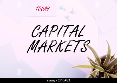 Handwriting text Capital MarketsAllow businesses to raise funds by providing market security. Concept meaning Allow businesses to raise funds by providing market security Stock Photo