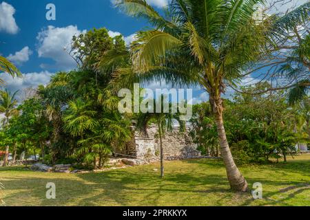 Playacar Mayan ruins in the forest park in Playa del Carmen, Yucatan, Mexico. Stock Photo