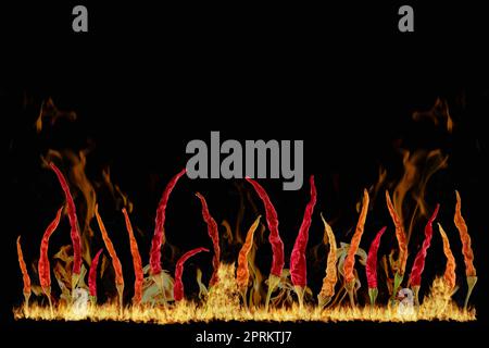 Composite image of hot chilli pepper and fire flames on black background Stock Photo