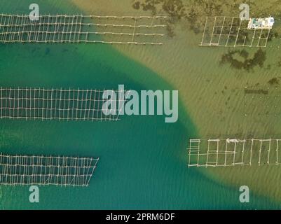 Zenithal aerial view of the mussel farms of the Fangar bay, in the Ebro Delta, partially affected by the accumulation of sediments (Tarragona, Spain) Stock Photo