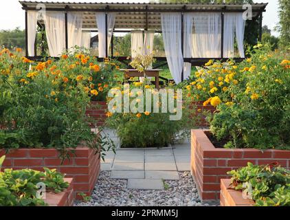 A modern vegetable garden with raised briks beds . Raised beds gardening in an urban garden Stock Photo