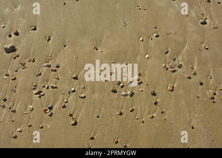 Smooth sandy beach with scattering of pebbles. Stock Photo