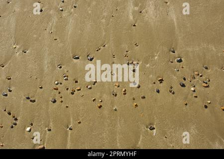 Smooth sandy beach with scattering of pebbles. Stock Photo