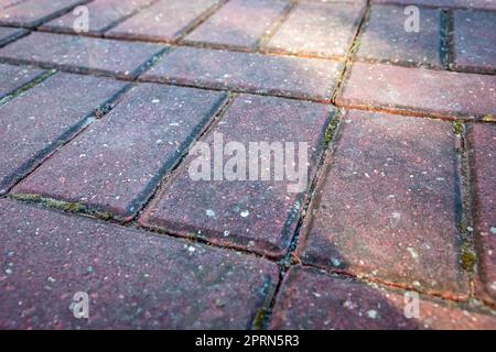 Rectangular red paving stones laid on the ground Stock Photo