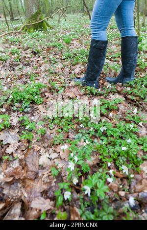 detail of woman wearing rubber boots in spring forest Stock Photo