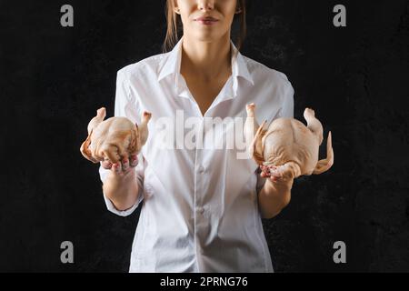 Unrecognizzable woman holds raw chicken in one hand and little chick in another Stock Photo