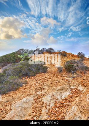 Torrey Pines State Park, San Diego, California, USA Stock Photo - Alamy