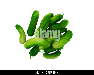 Cucumbers on a white background Stock Photo