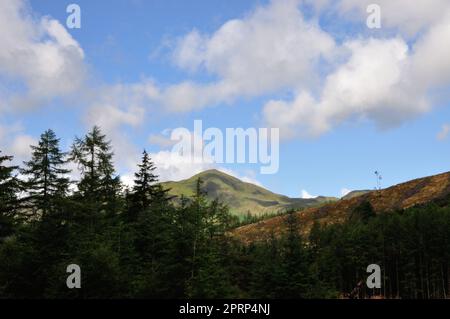 Hiking at inchree falls Stock Photo