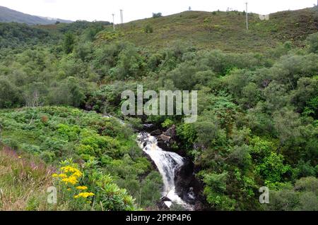 Hiking at inchree falls Stock Photo