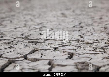 Dried-up riverbed Stock Photo