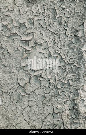 Background Dry Cracked Soil Dirt Or Earth During Drought. Dry Cracked Earth Depicting Severe Drought Conditions Stock Photo