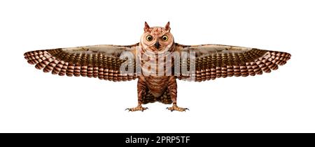 3D rendering of a great horned owl or tiger owl or Bubo virginianus isolated on white background Stock Photo