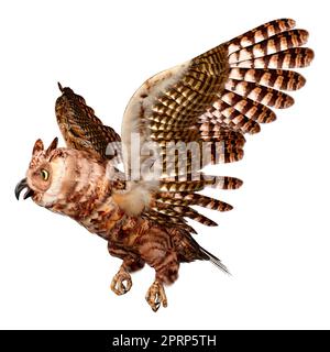 3D rendering of a great horned owl or tiger owl or Bubo virginianus isolated on white background Stock Photo