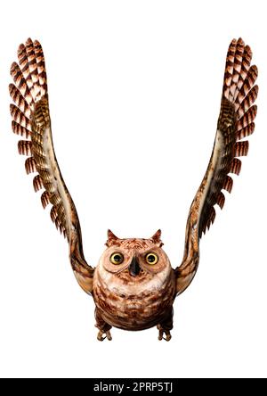 3D rendering of a great horned owl or tiger owl or Bubo virginianus isolated on white background Stock Photo