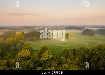 Riparian forest with morning mists from aerial perspective. Natural scenery with trees, meadow and fog at sunrise from above. Fresh summer country wit Stock Photo