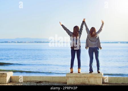 Enjoying the ocean view. Rearview shot of two attractive young women spending a day by the ocean Stock Photo