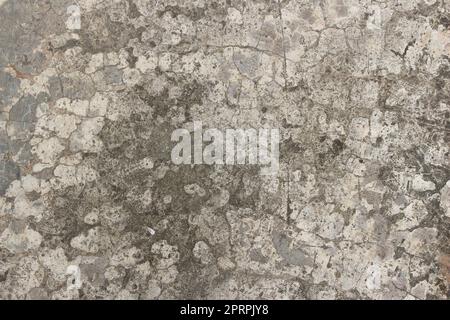 Gray cement concrete wall with cracks and mold texture background Stock Photo