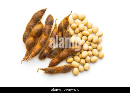Soy beans. Dried soybean pod isolated on white background. Stock Photo