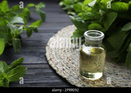 Bottle of mint essential oil and green leaves on black wooden table, closeup. Space for text Stock Photo