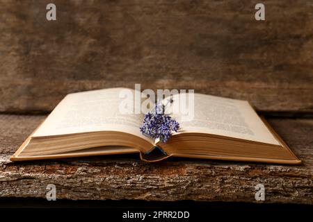 Open book with beautiful dried flowers on wooden table Stock Photo