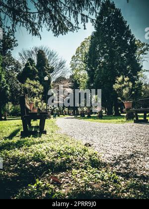 Tranquil Moments Amidst the Rural Park Stock Photo