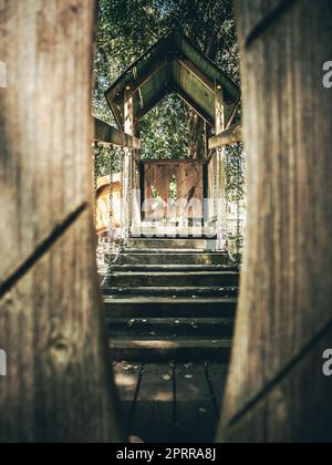 Tranquil Moments Amidst the Rural Park Stock Photo