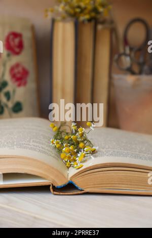 Beautiful dried flowers in book on wooden table, closeup Stock Photo