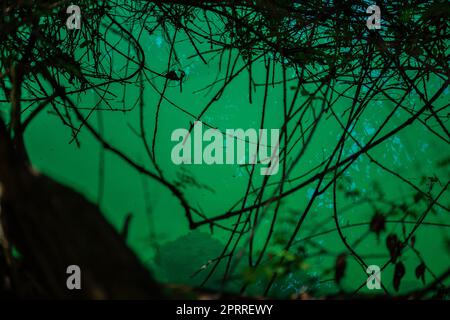 The Adda (Latin Abdua, or Addua; in Lombard Ada or, again, Adda in ...
