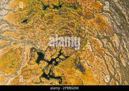 Miory District, Vitebsk Region, Belarus. The Yelnya Swamp. Upland And Transitional Bogs With Numerous Lakes. Elevated Aerial View Of Yelnya Nature Reserve Landscape. Famous Natural Landmark Stock Photo