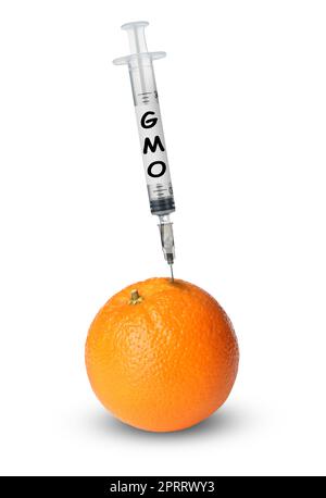 Syringe with label GMO in tangerine on white background Stock Photo