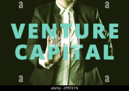 Sign displaying Venture Capitalfinancing provided by firms to small early stage ones. Business concept financing provided by firms to small early stage ones Stock Photo