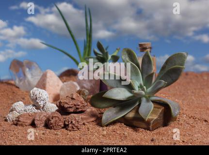 Desert Rose Rocks With Quartz Crystals on Australian Red Sand Stock Photo