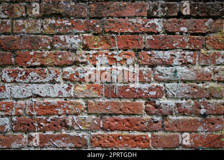 Old red brick wall in close up Stock Photo