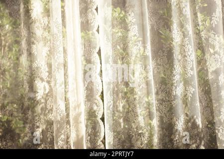 white curtain with window view tree garden background. Stock Photo