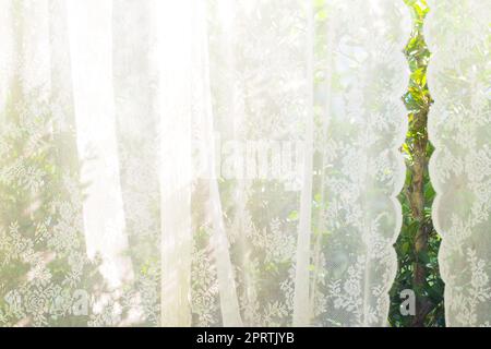 white curtain with window view / tree garden background. Stock Photo