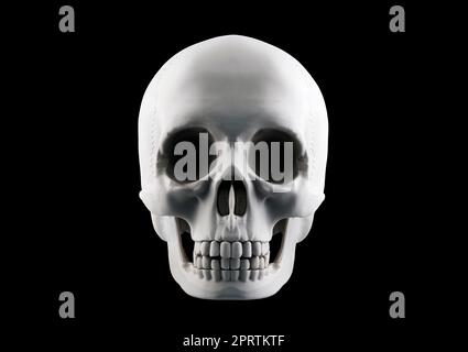 Human skull isolated on black background with clipping path Stock Photo