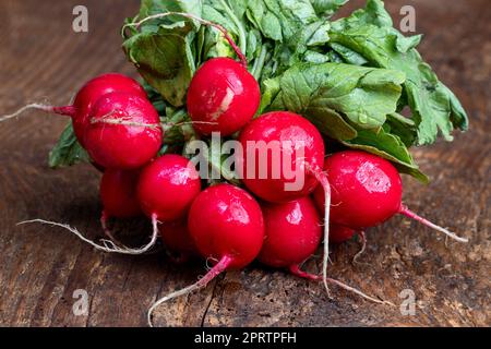 fresh garden radishes on wood Stock Photo
