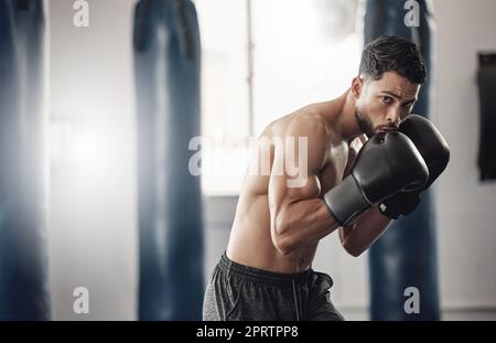 Portrait Fighter Boxing Pose On Gray Stock Photo 143263834 | Shutterstock