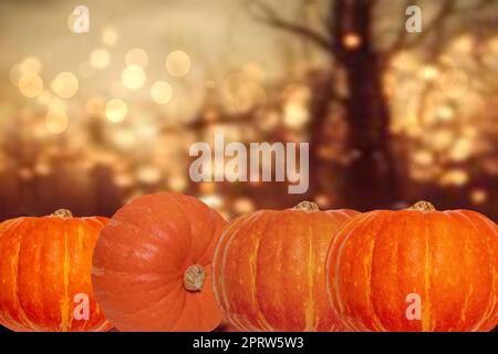 Halloween Pumpkin In A Mystic Forest At Night Stock Photo - Alamy