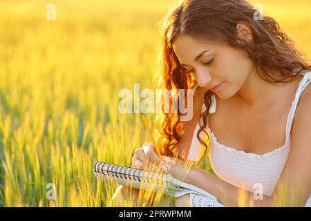 Woman drawing or writing in a wheat field Stock Photo