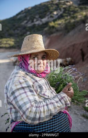 Portrait of a northern Moroccan shepherdess wearing a straw hat, gathering herbs. Stock Photo