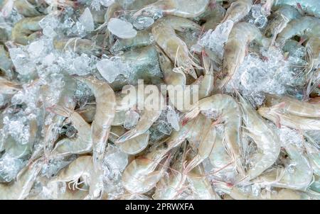 Fresh raw prawn, shrimp, seafood Stock Photo - Alamy