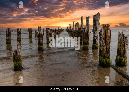 Old abandoned jetty or wooden pier remains on a Baltic sea Stock Photo