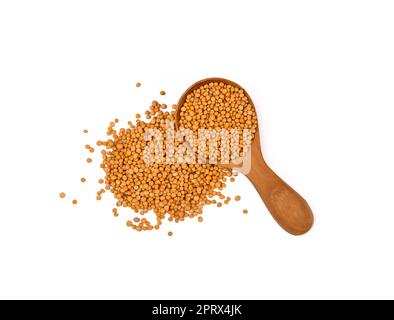 Close up wooden spoon of mustard seeds Stock Photo