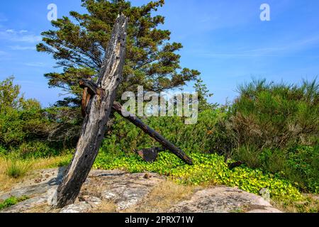 Old rusty and weathered ship anchor at Hammer Odde Lighthouse at the northern tip of Bornholm Island, Denmark, Scandinavia, Europe. Stock Photo