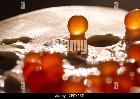 A single grain of caviar on a sandwich with yellow cheese. Natural sunlight. Macro Stock Photo