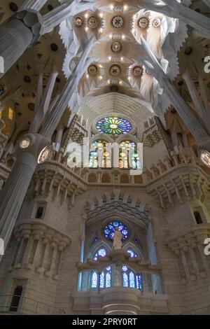 BARCELONA, SPAIN-AUGUST 22, 2022: Ceiling and Stained glass windows  - Interior of Sagrada Familia Stock Photo