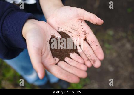 Hands holding poppy seeds at the allotment Stock Photo